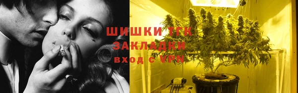сатива Абинск