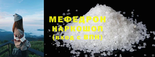 СК Пересвет