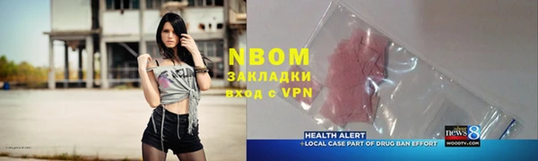 сатива Абинск