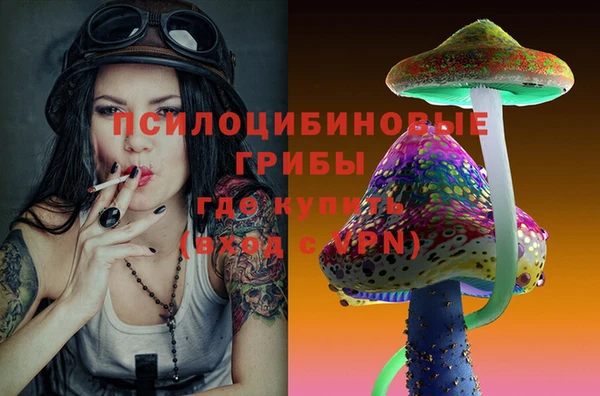 сатива Абинск