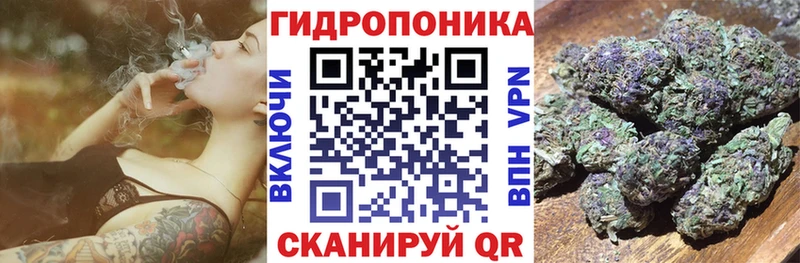 Бошки Шишки план  Задонск 